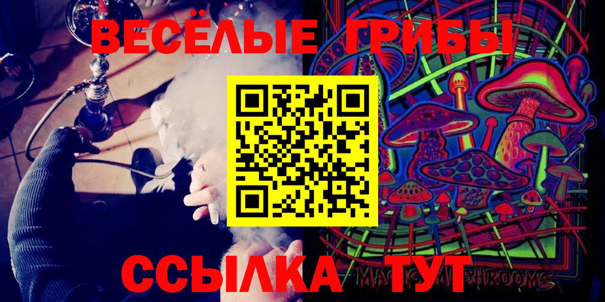 купить   Галлюциногенные грибы MAGIC MUSHROOMS  Вход с VPN  Златоуст 